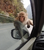 149_169gif 动态图 动图