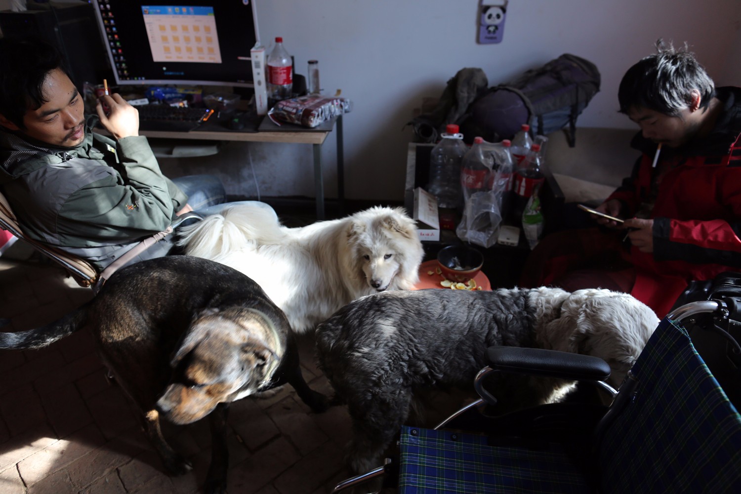 同学患企鹅病他带她3年在地图上走心