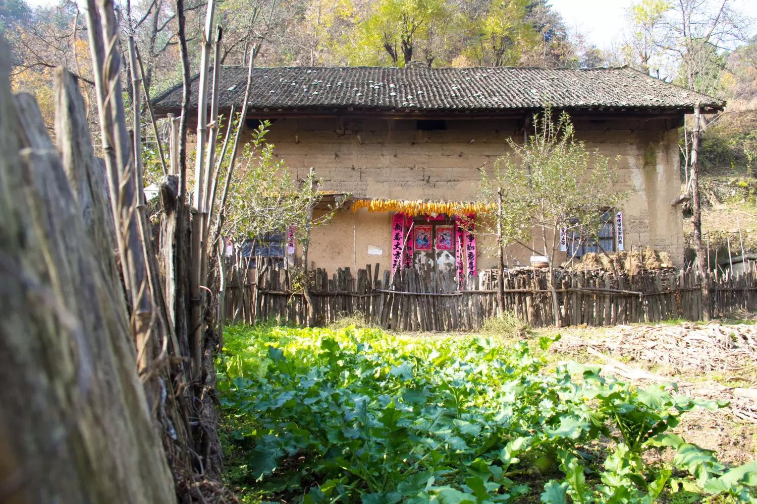 人都搬出去了, 无人打扰的秦岭深山, 再次归于最初的宁静和冷清