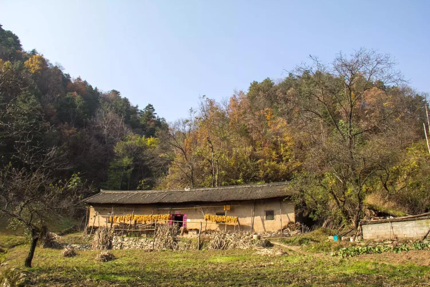 商洛柞水肖家铺,就是这样一个秦岭山村.