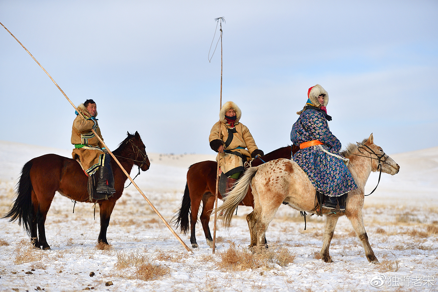 走近苍狼的故乡,亲历原汁原味儿的游牧生活和蛮荒时代的午时盛宴