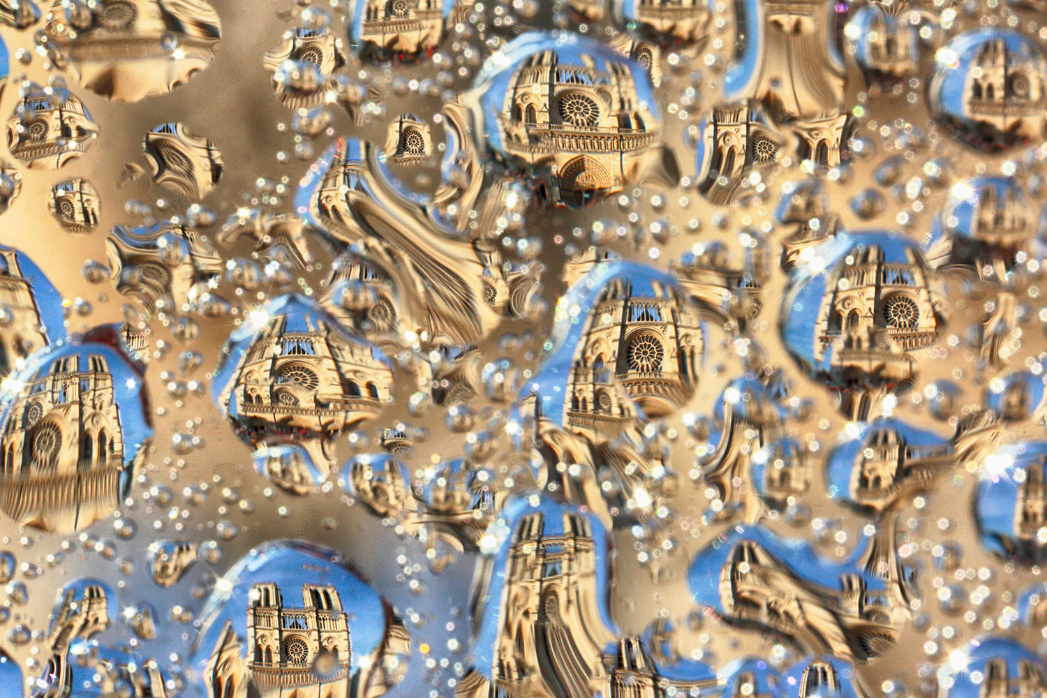 法国巴黎37岁小提琴家Bertrand Kulik拍摄了一组名为“巴黎之泪”的组