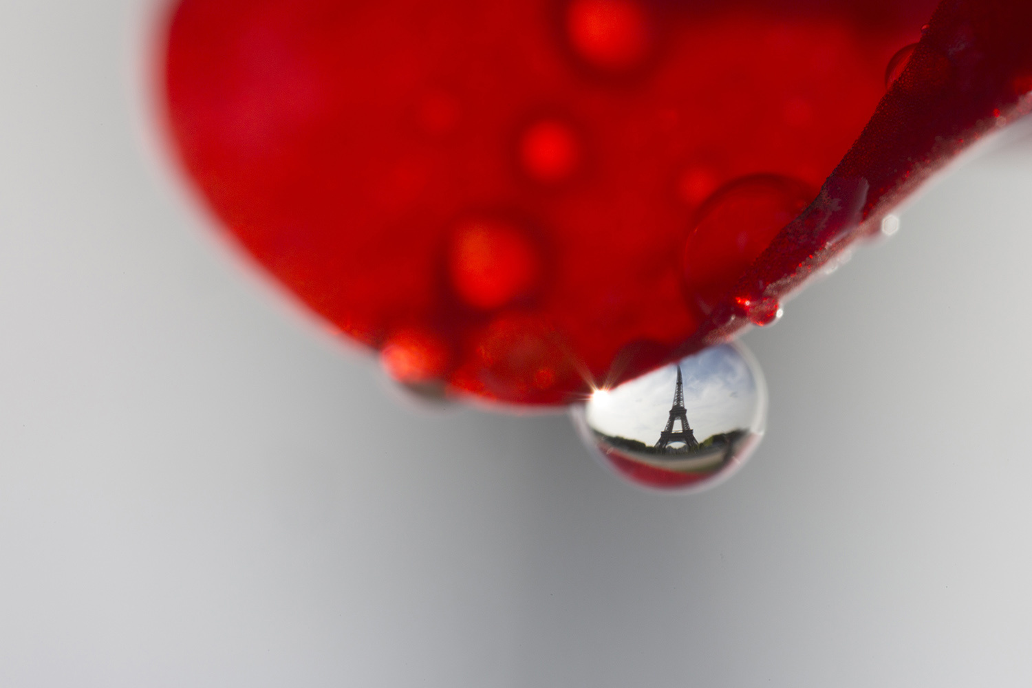 法国巴黎37岁小提琴家Bertrand Kulik拍摄了一组名为“巴黎之泪”的组