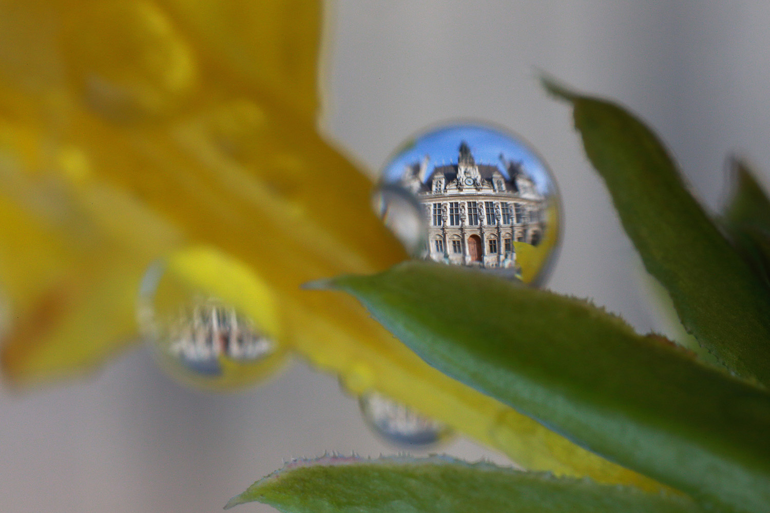 法国巴黎37岁小提琴家Bertrand Kulik拍摄了一组名为“巴黎之泪”的组