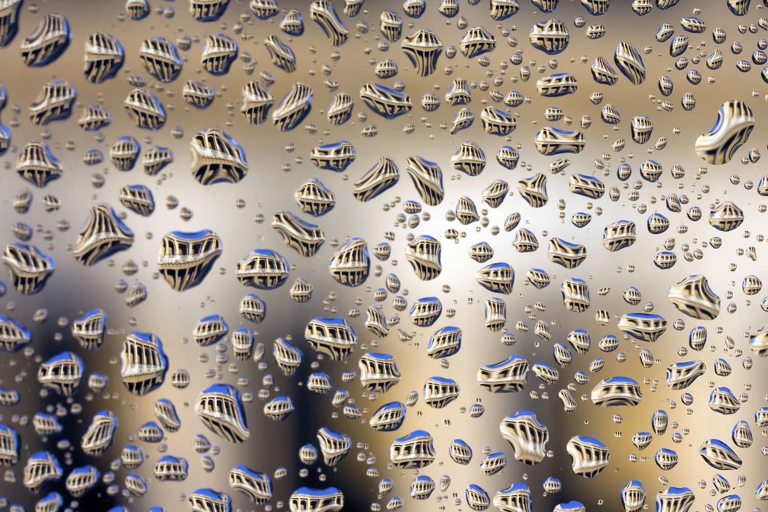 法国巴黎37岁小提琴家Bertrand Kulik拍摄了一组名为“巴黎之泪”的组