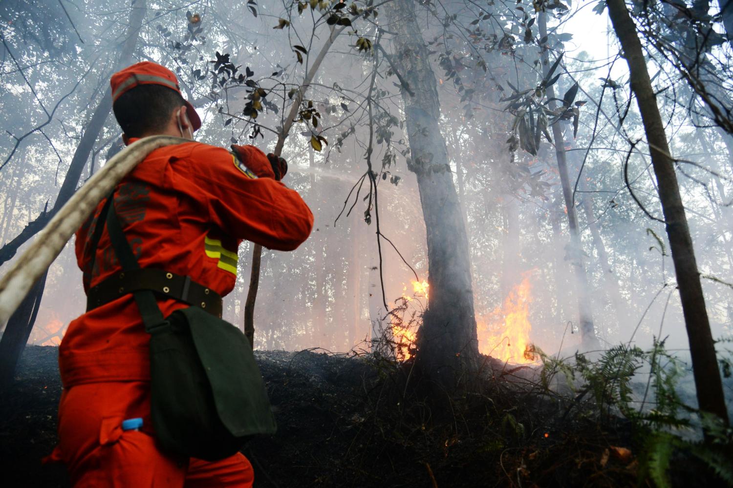 四川自贡发生森林火灾空地协同紧急扑救