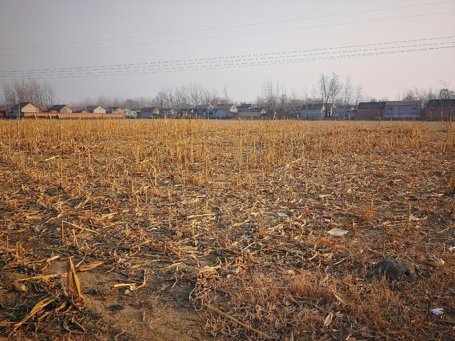 老农搞不明白,为啥这么多的土地都荒着,无人耕种