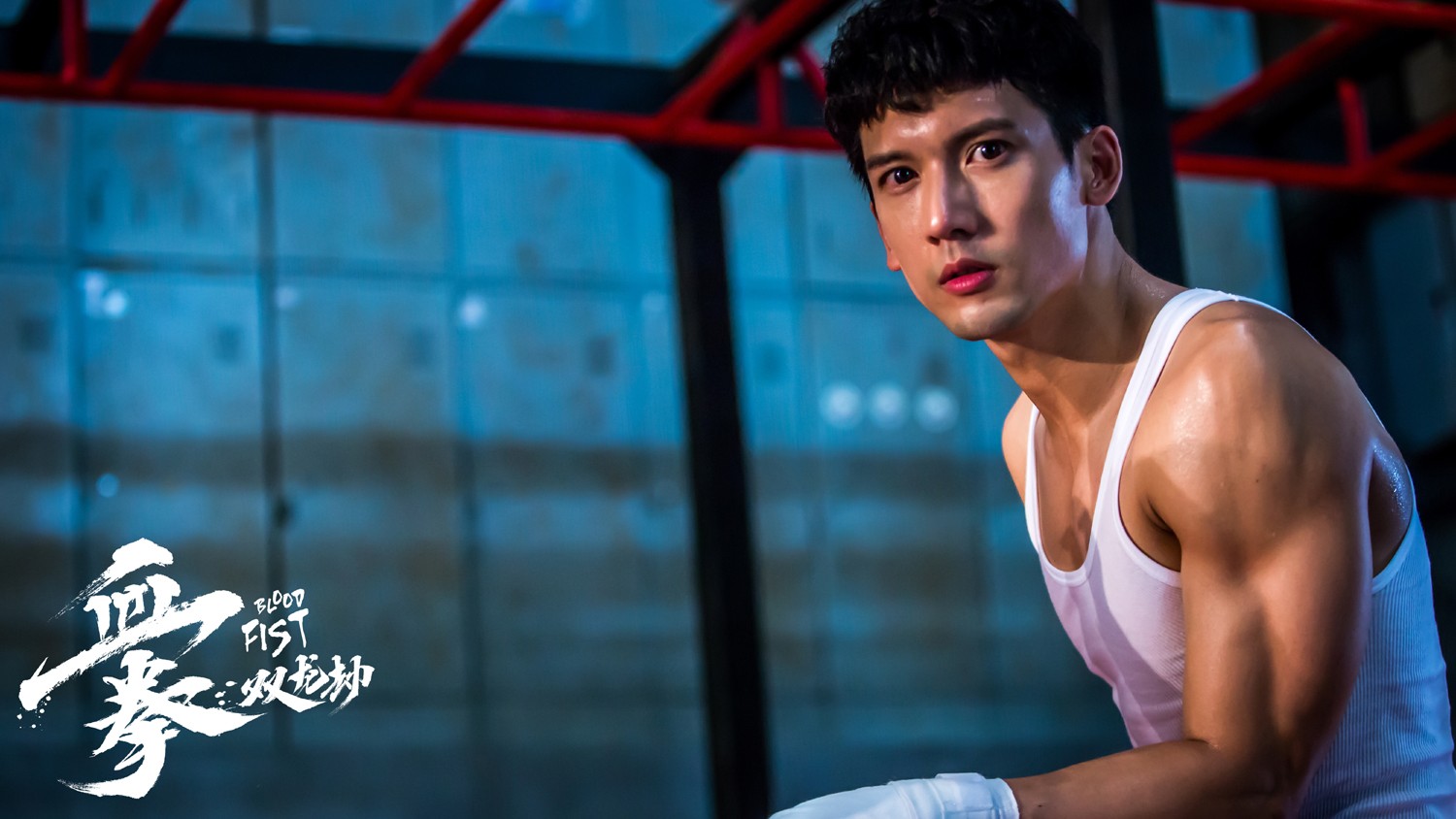 《血拳之双龙劫》:泰拳的生猛凌厉在这部电影中尽情展现