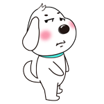 你瞅啥?annie老师教您一分钟读懂狗狗的眼神