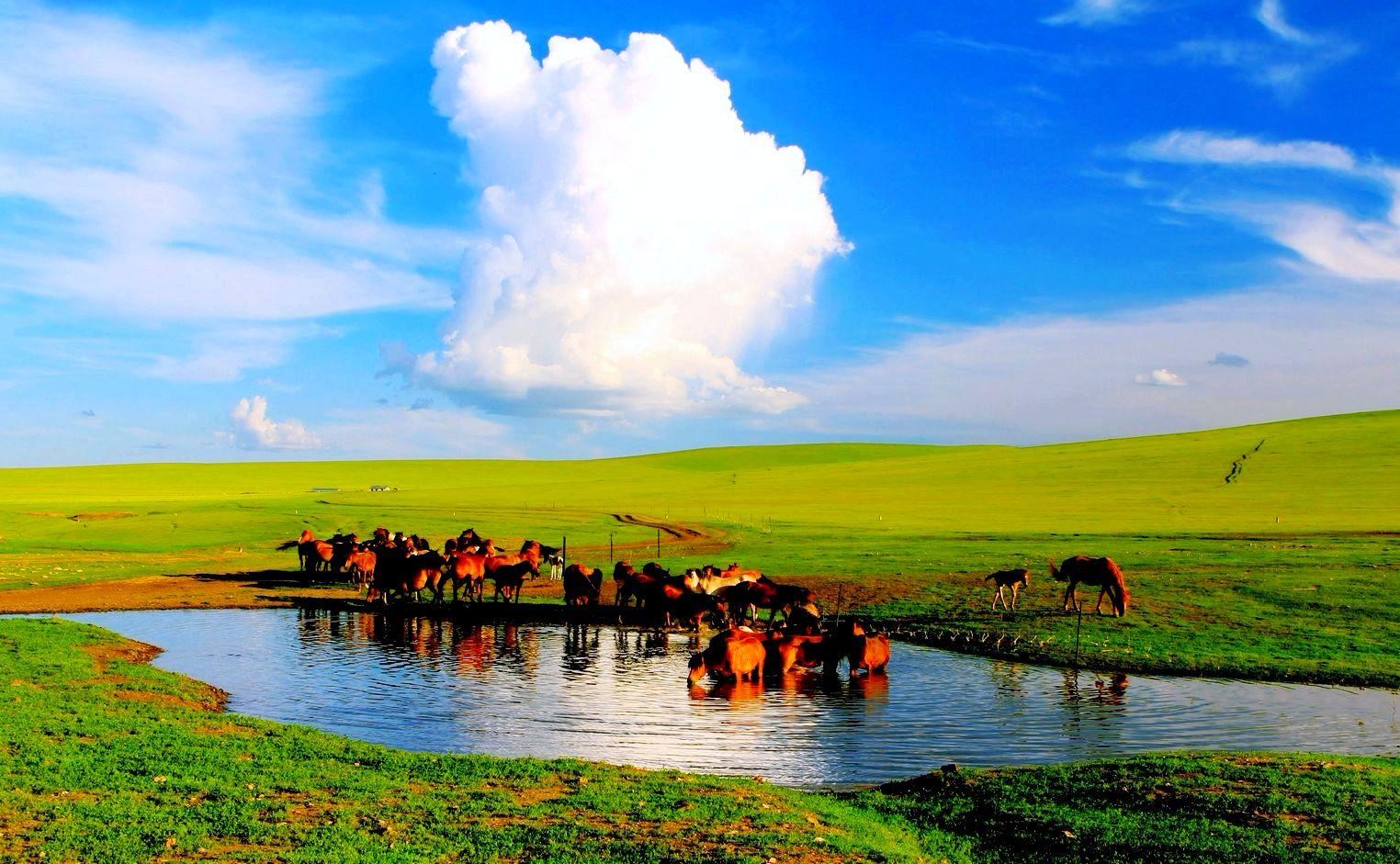 2018超实用的中国最美的六大草原攻略,快收藏了