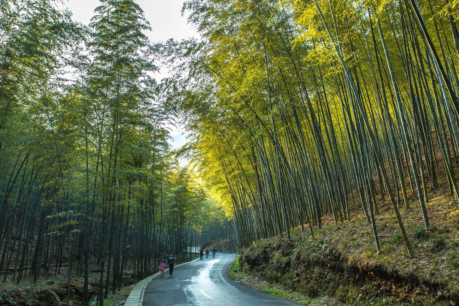 宜兴湖父龙山图片