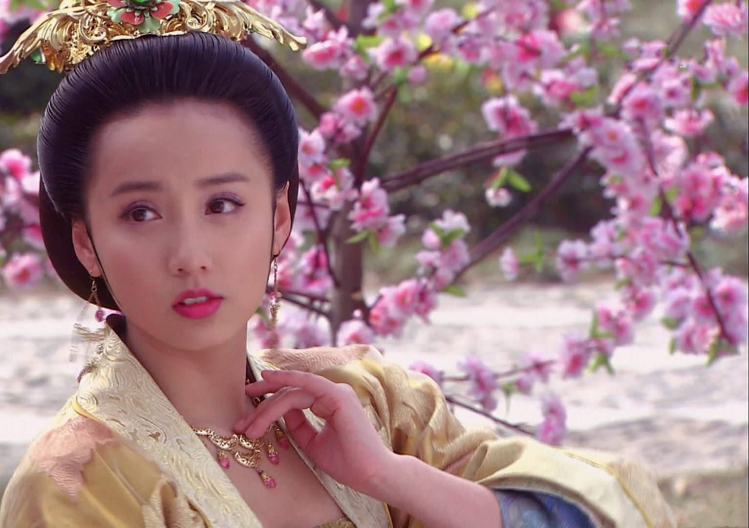 张裕妃6岁入宫,本是一小小婢女,但因为容貌姣好,17