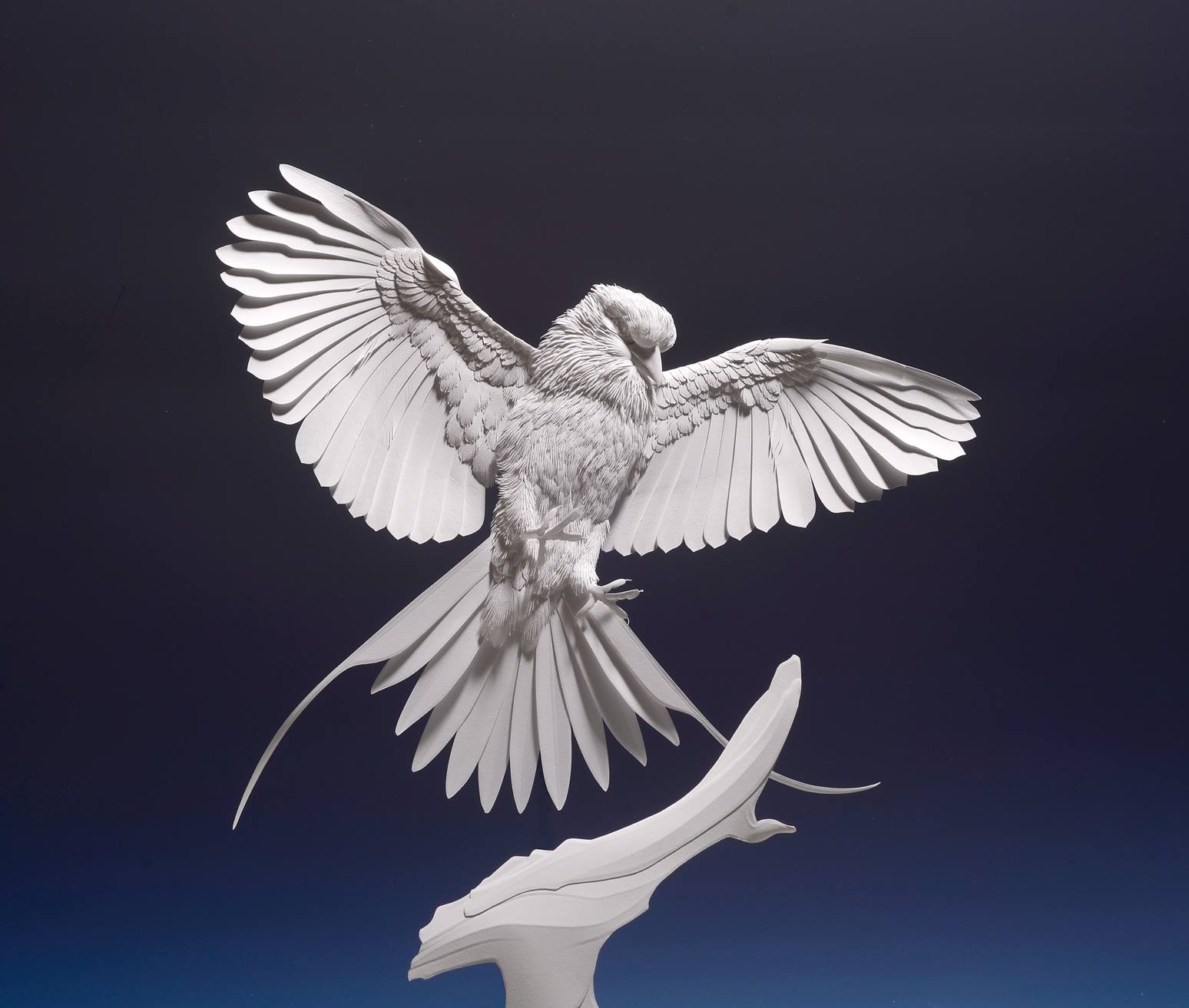 栩栩如生的动物纸浮雕肖像 | 加拿大纸艺术家 calvin nicholls