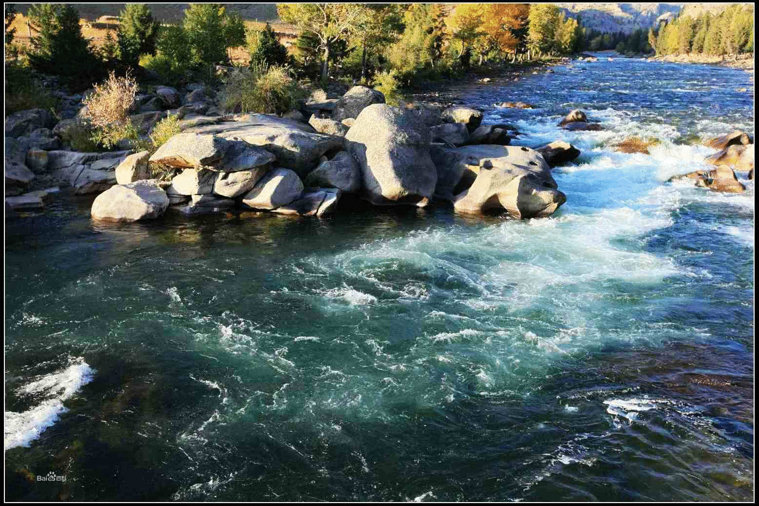 新疆最大的外流河——额尔齐斯河!