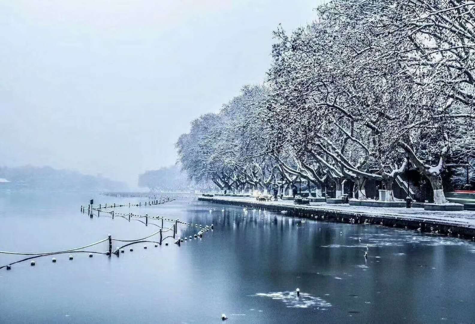 杭州也下雪了,来吧,秀一下杭州雪景