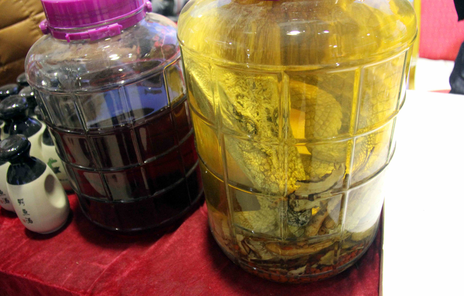 安徽小伙家养的鳄鱼肉一斤卖88元爱美的女士可以尝一尝