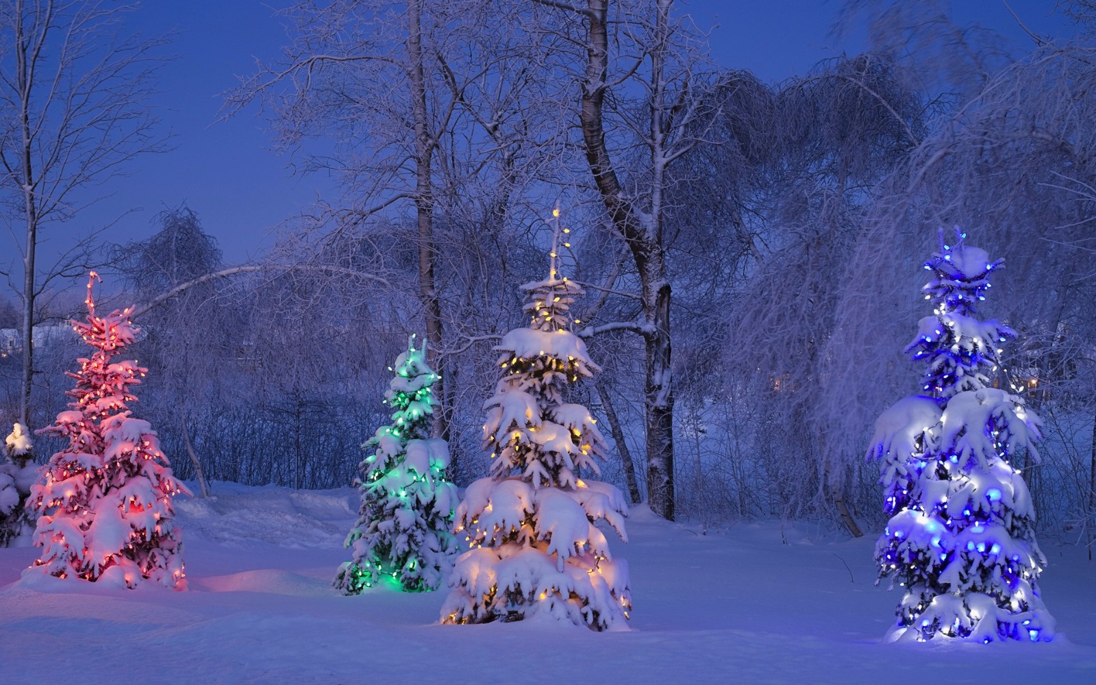 电脑壁纸 深冬唯美好看雪地夜景高清图片
