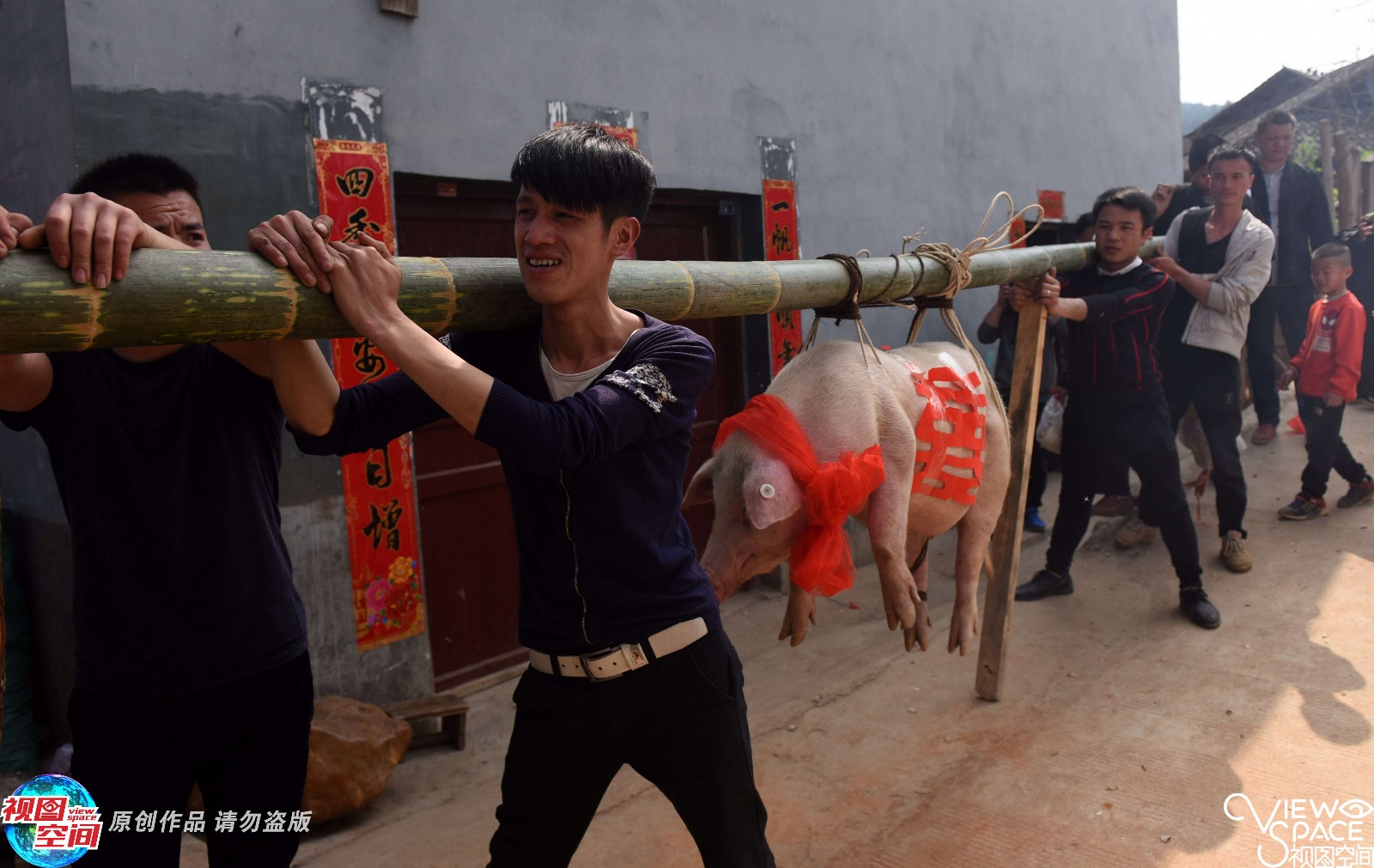 侗寨新娘"回门" 亲友抬猪相送