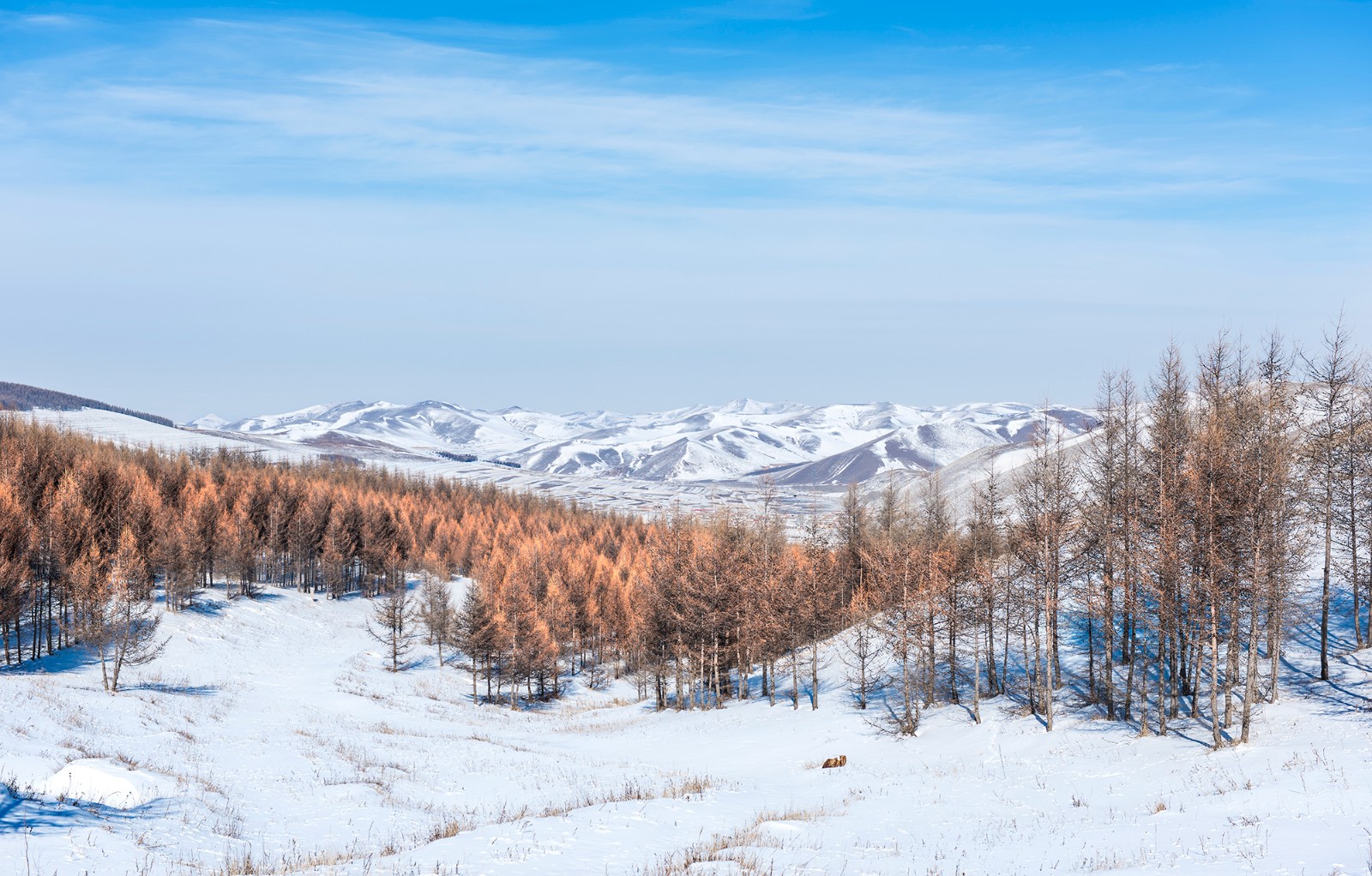 原来2022年冬奥会的举办地崇礼这么美!