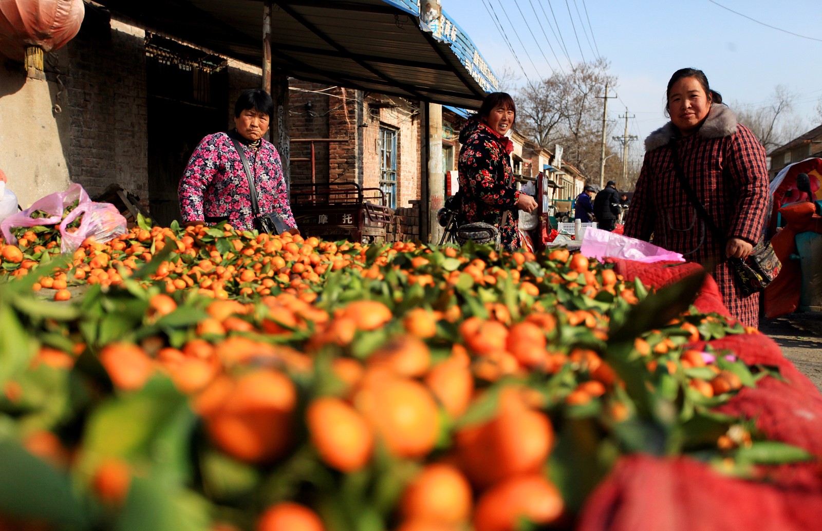 农村集市卖橘子有套路 商贩一上午卖一车