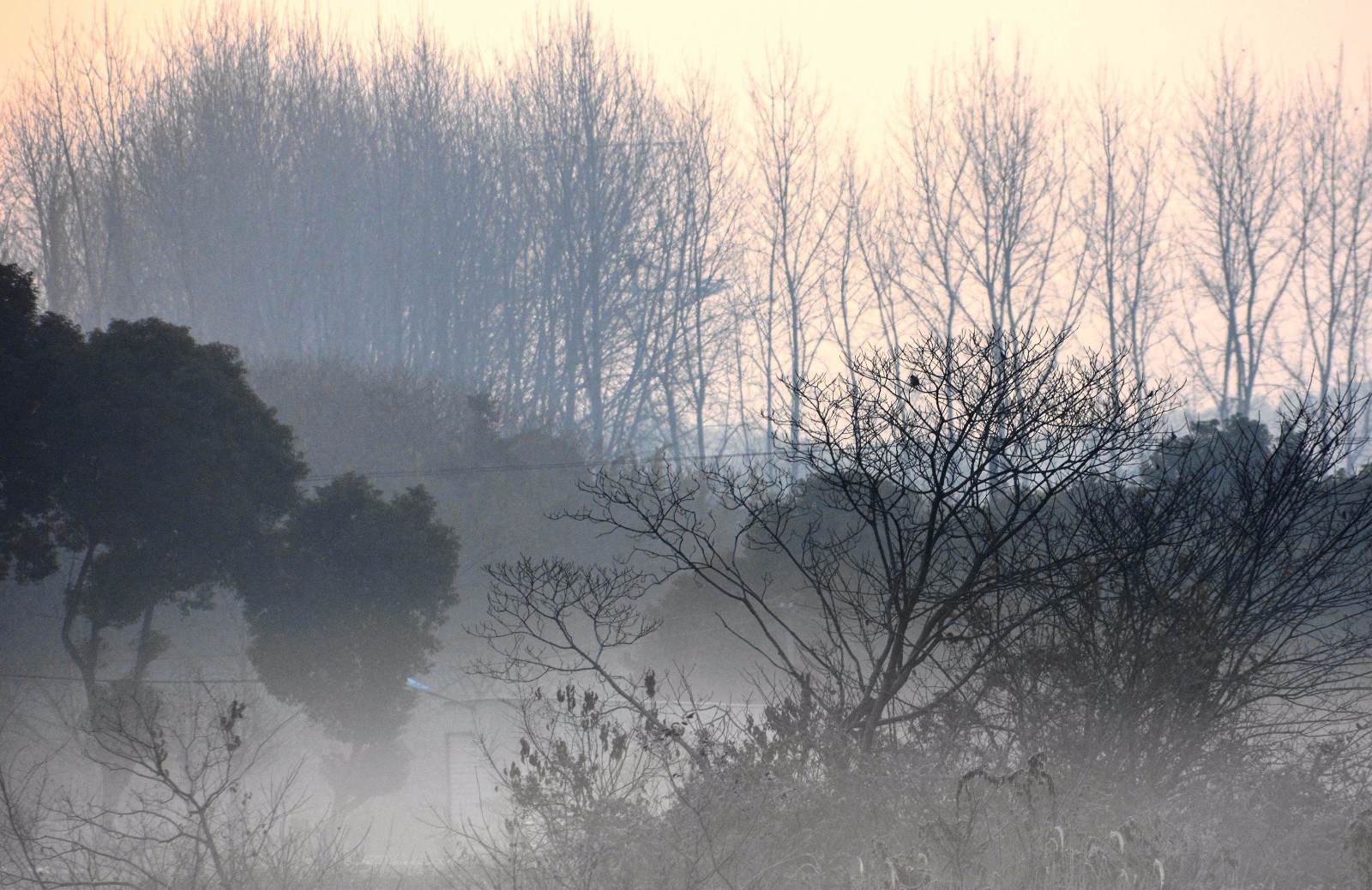 冬日晨雾图片图片