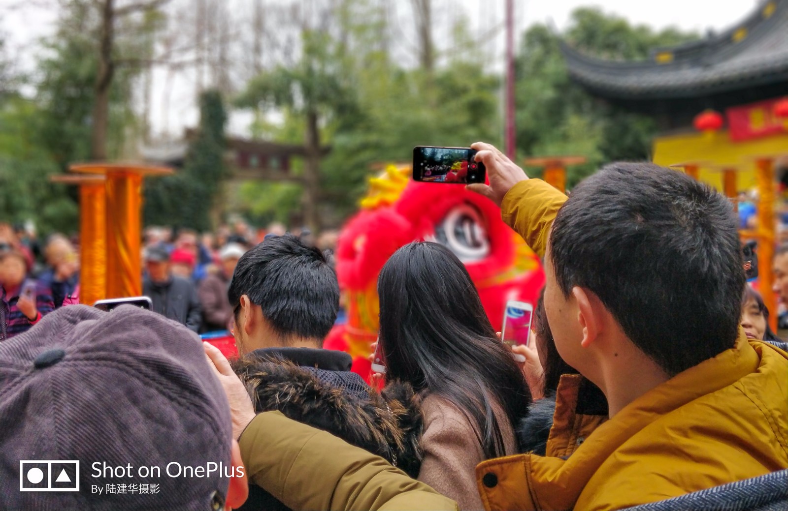 热闹中国年，去惠山古镇看舞狮