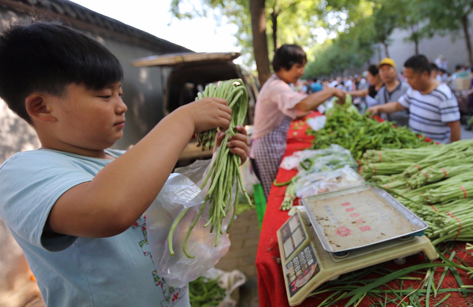 12岁少年凌晨5点帮妈卖菜我很快乐