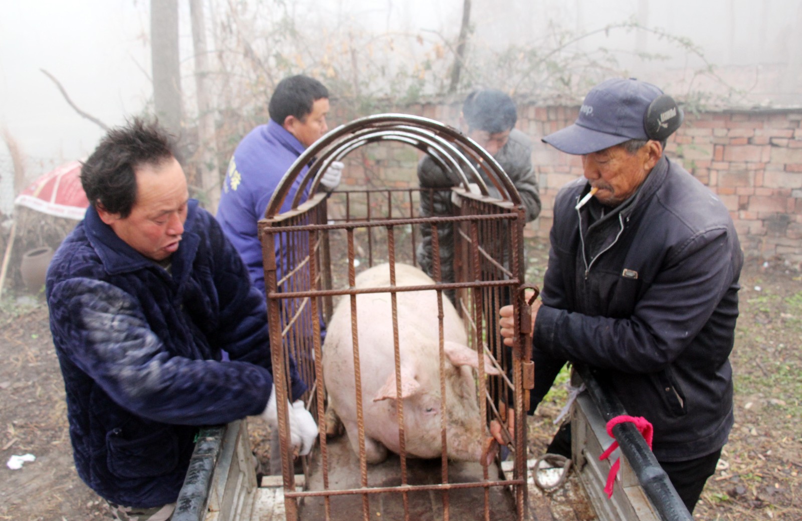 众多人轻易陷入杀猪盘究竟是怎么回事？