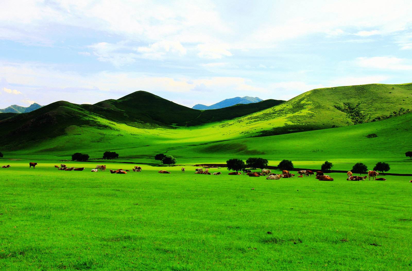 别提雪乡了!自驾见识真正的东北,壮阔大气让南方人都看傻了眼!