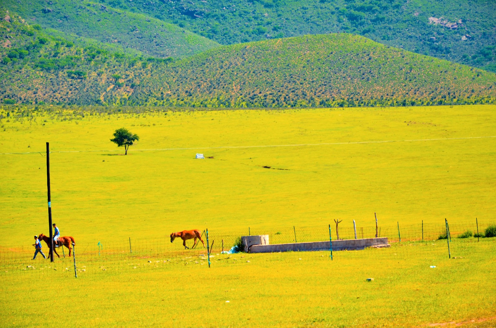 扎鲁特旗山地草原,有一种前世今生的美感,你好像在哪儿见过