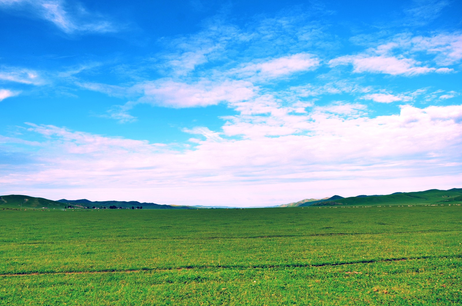 草原上的牛羊就像一首首牧歌低低诉说着一处处往事