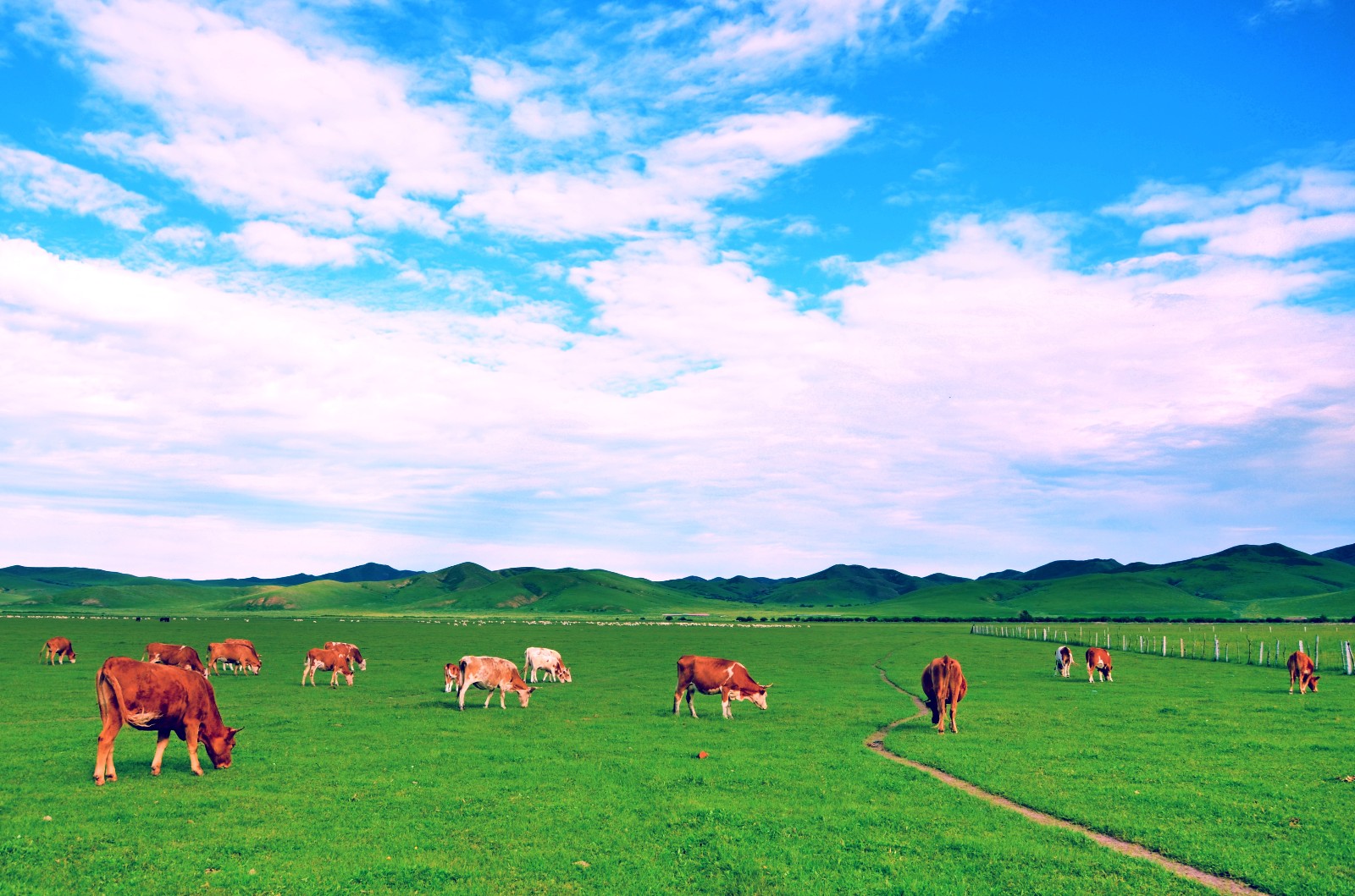 草原上的牛羊就像一首首牧歌低低诉说着一处处往事