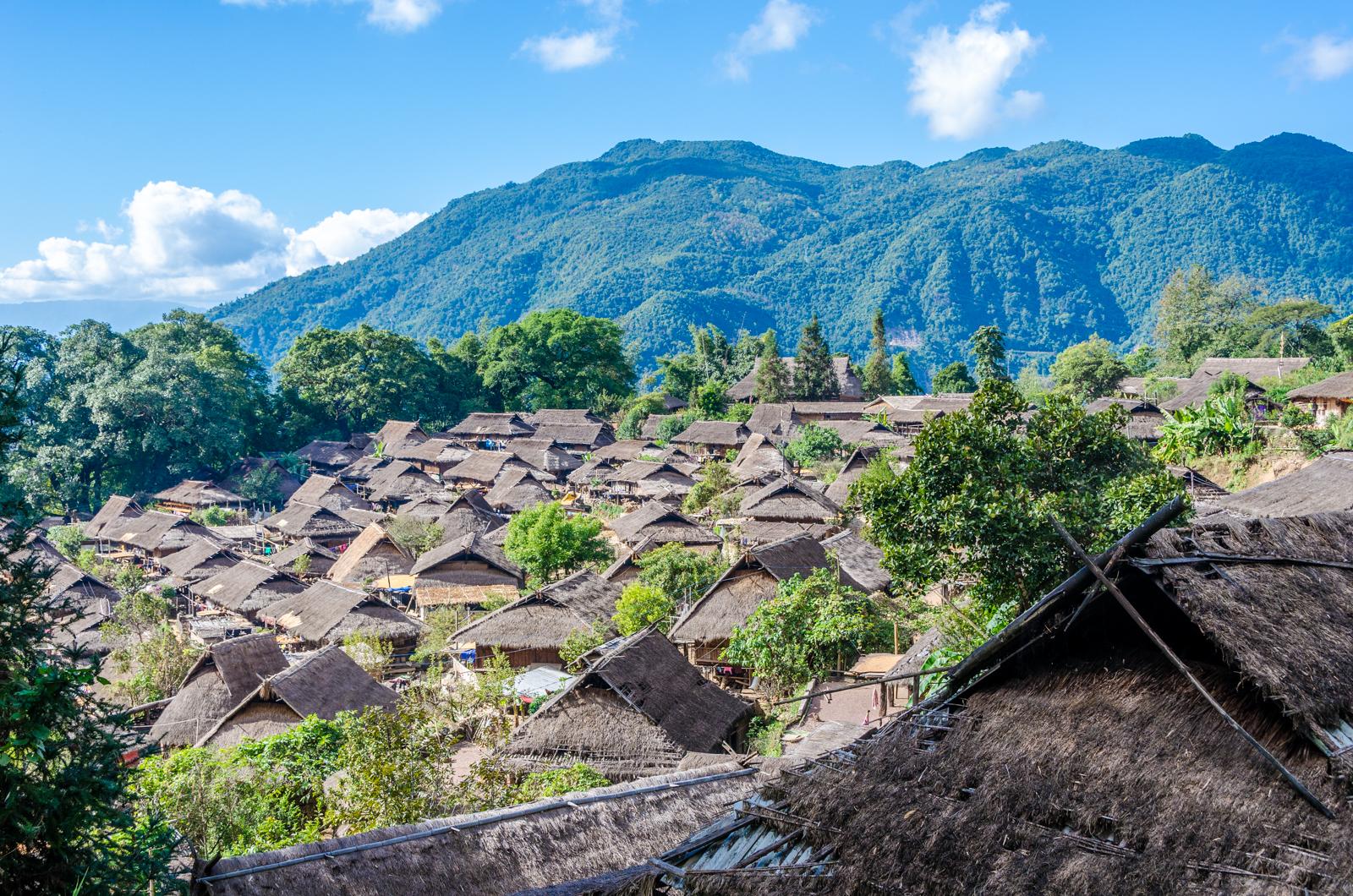 佤族村寨周边的树都不能乱砍,树是保护寨子的神灵,每棵树都有自己的