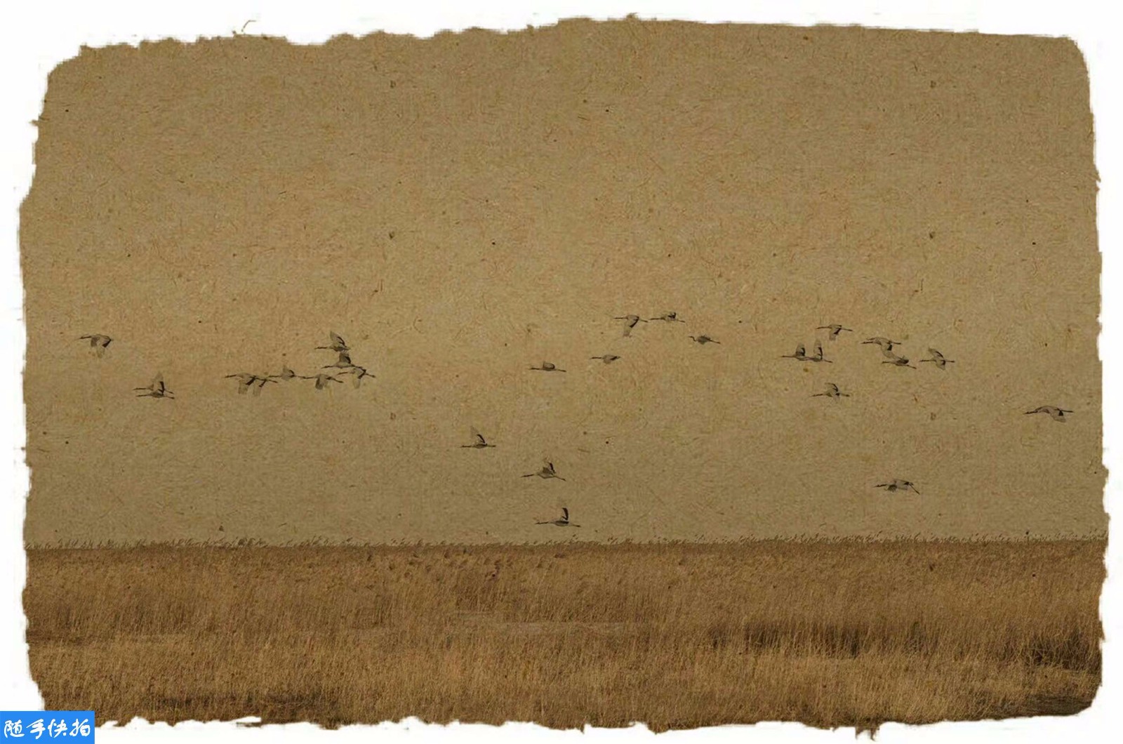 复古仙鹤图惊艳世人 你绝对瞧不出这是摄影作品