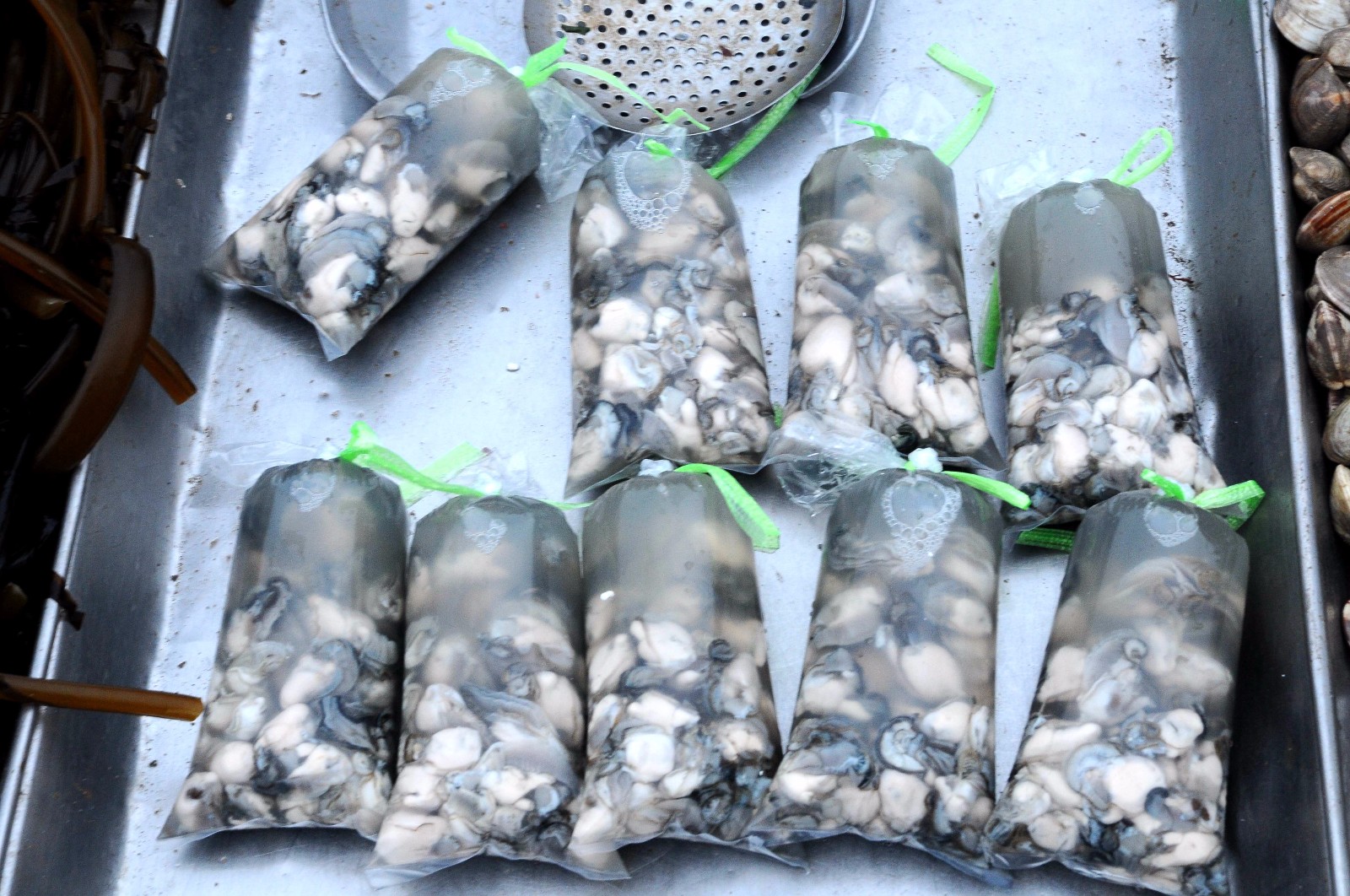 "惊蛰"后来青岛吃海鲜 肥硕正当时 价格实惠满嘴鲜 尝过不后悔