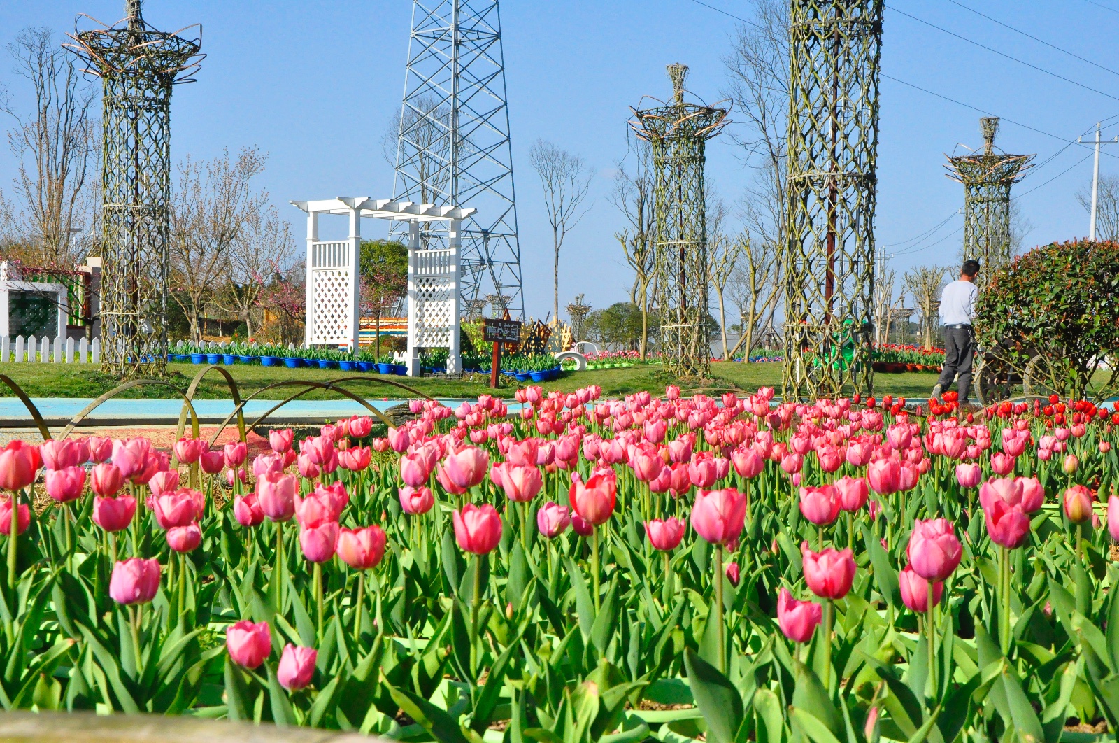 春天在这里 遵义赏花游玩好去处