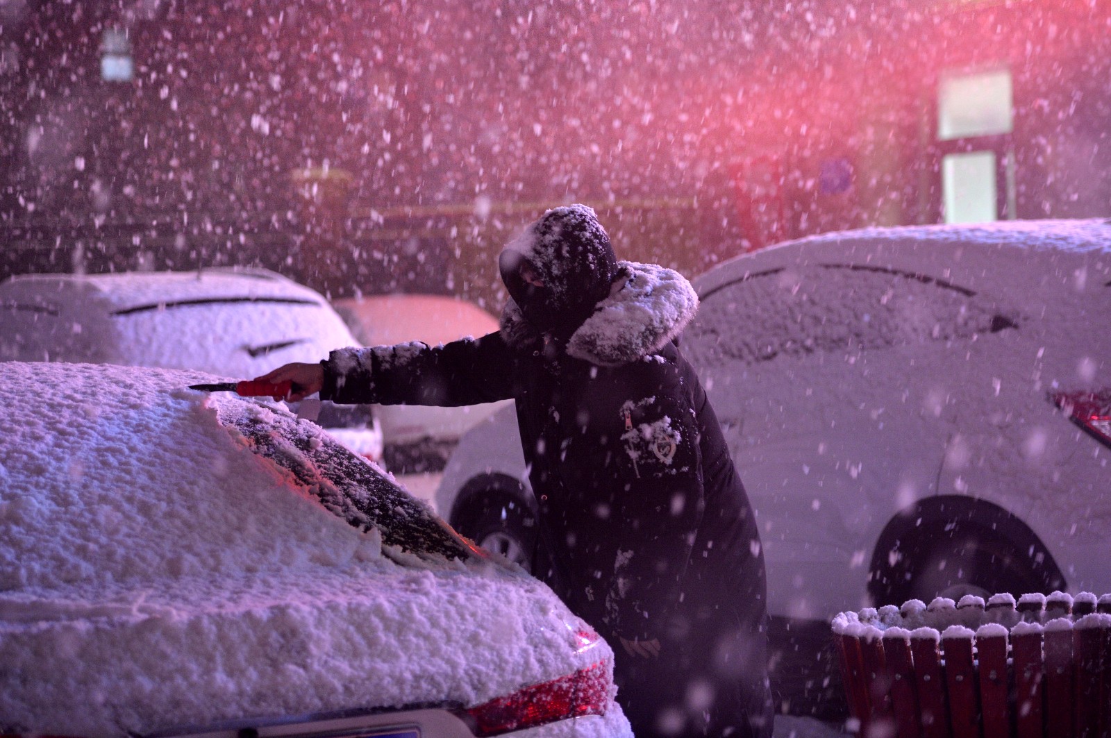 沈阳出现鹅毛大雪:街头行人瞬间变雪雕|鹅毛大雪|降雪|沈阳_新浪新闻