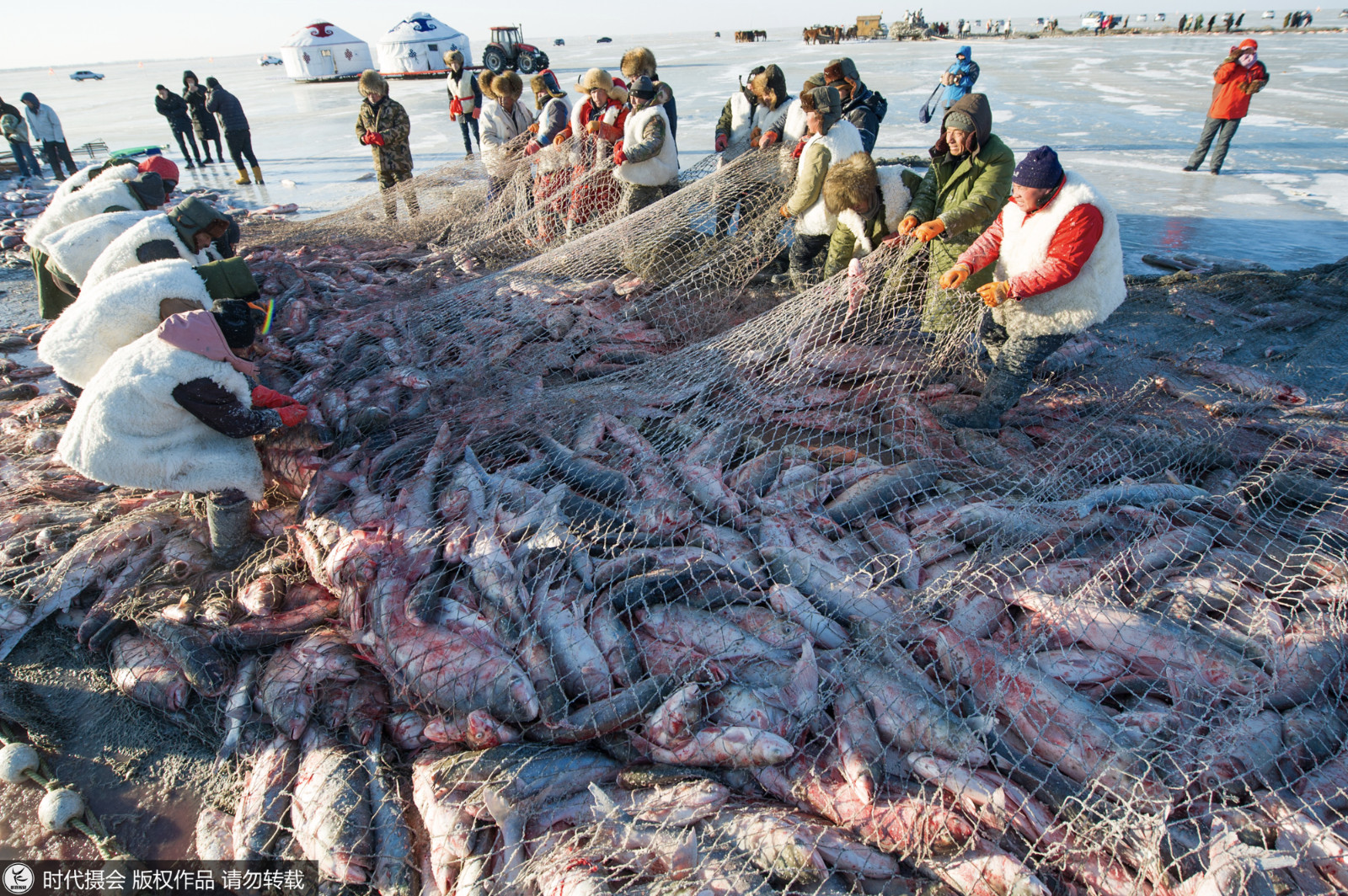 直击查干湖冬捕 大鱼出水瞬间冻成冰棍