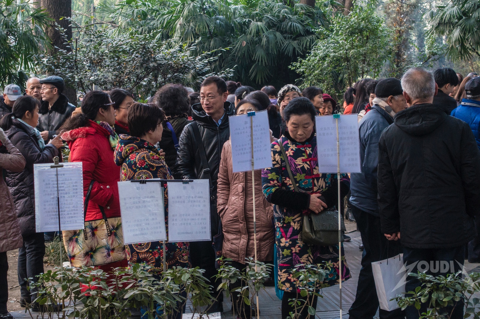 【相亲角-人民公园摄影图片】上海 人民公园纪实摄影_春来影像_太平洋电脑网摄影部落