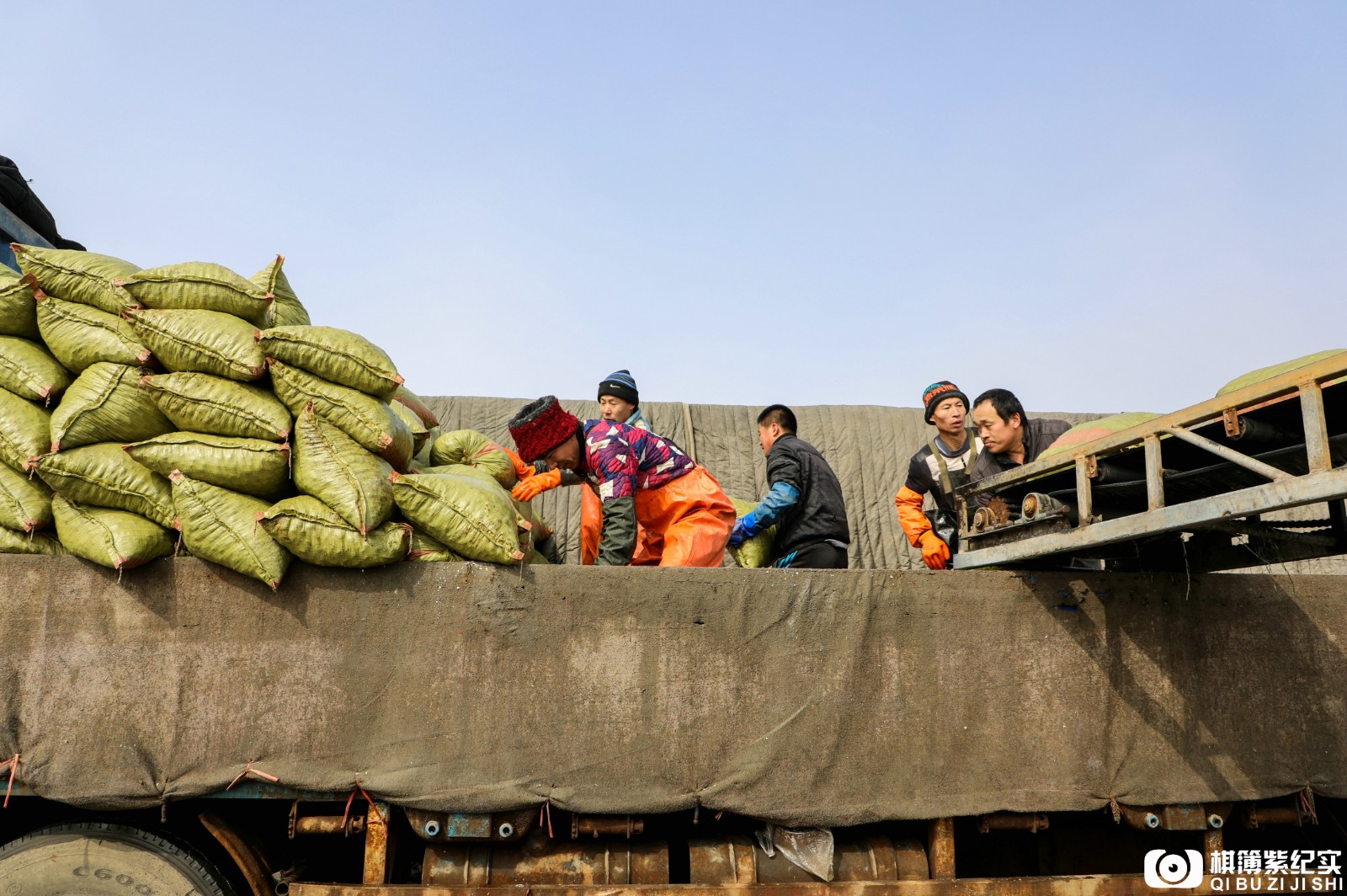 码头工作人员介绍,一天两潮,在沿海大小码头,共有200多万斤沙蚬子被