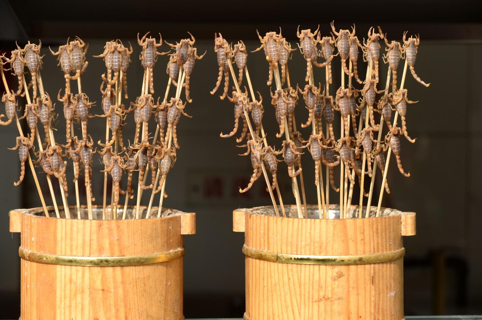 北京王府井小吃街的活蝎子25元一串，拍照的人多，吃的人却很少|王府井|小吃街|蝎子_新浪新闻