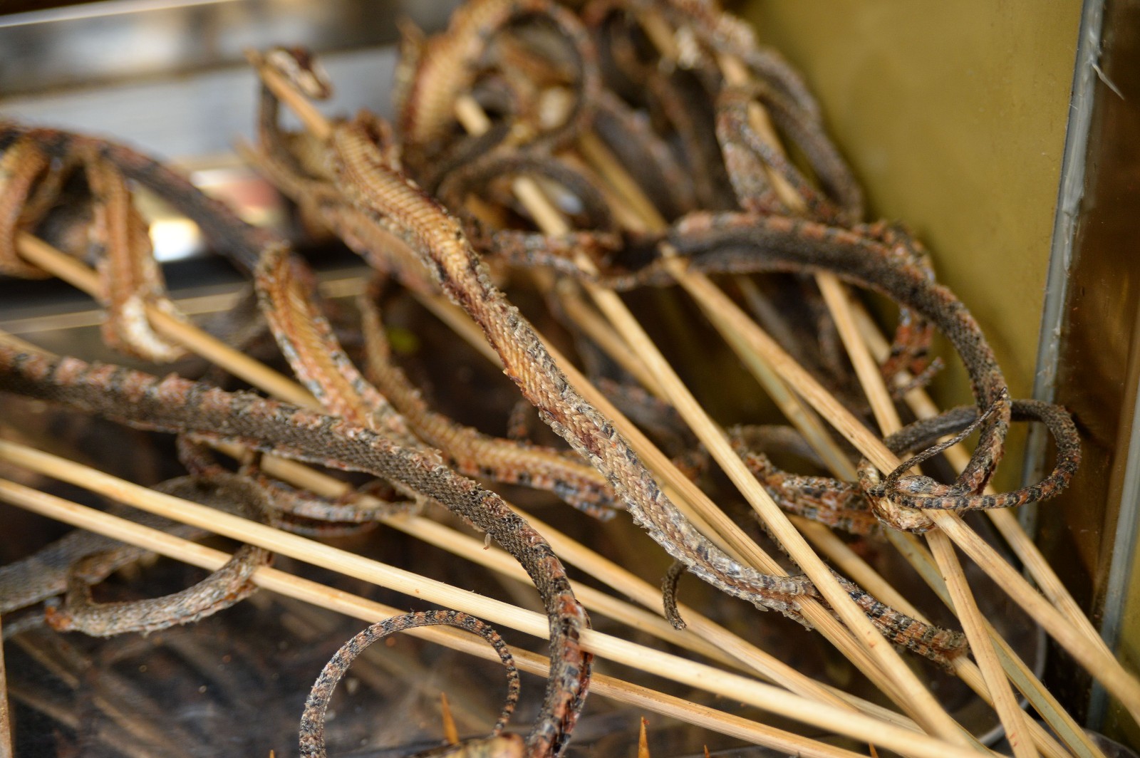 北京王府井小吃街的活蝎子25元一串,拍照的人多,吃的人却很少