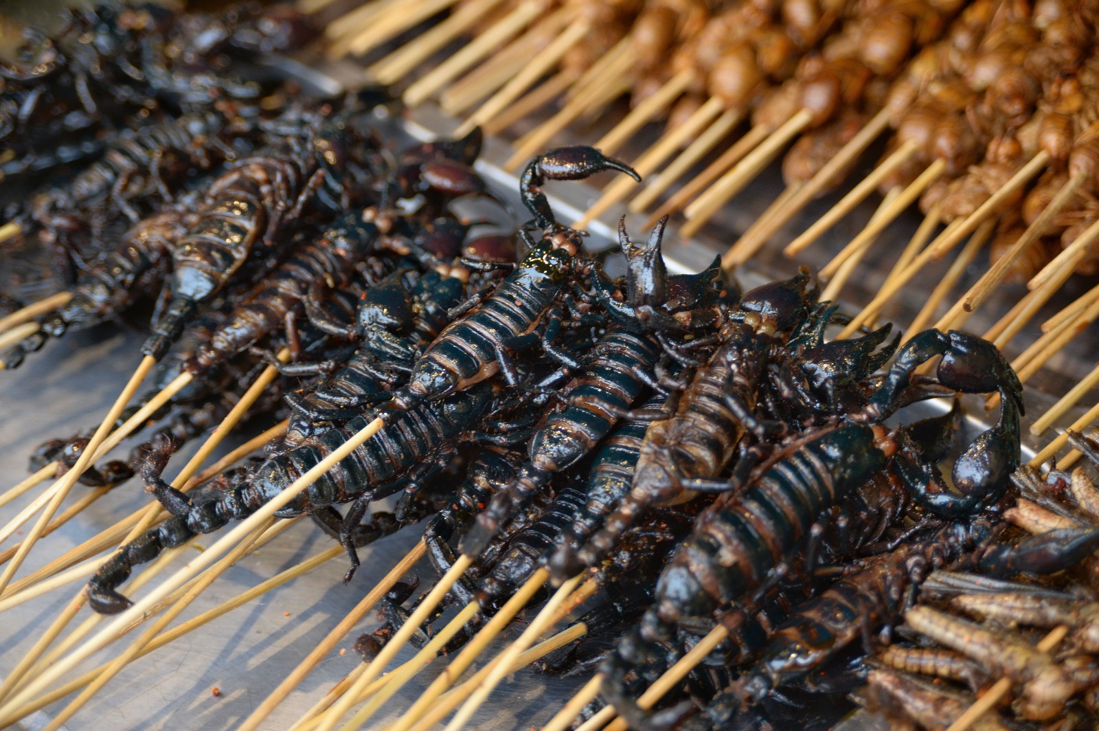 北京王府井小吃街的活蝎子25元一串拍照的人多吃的人却很少