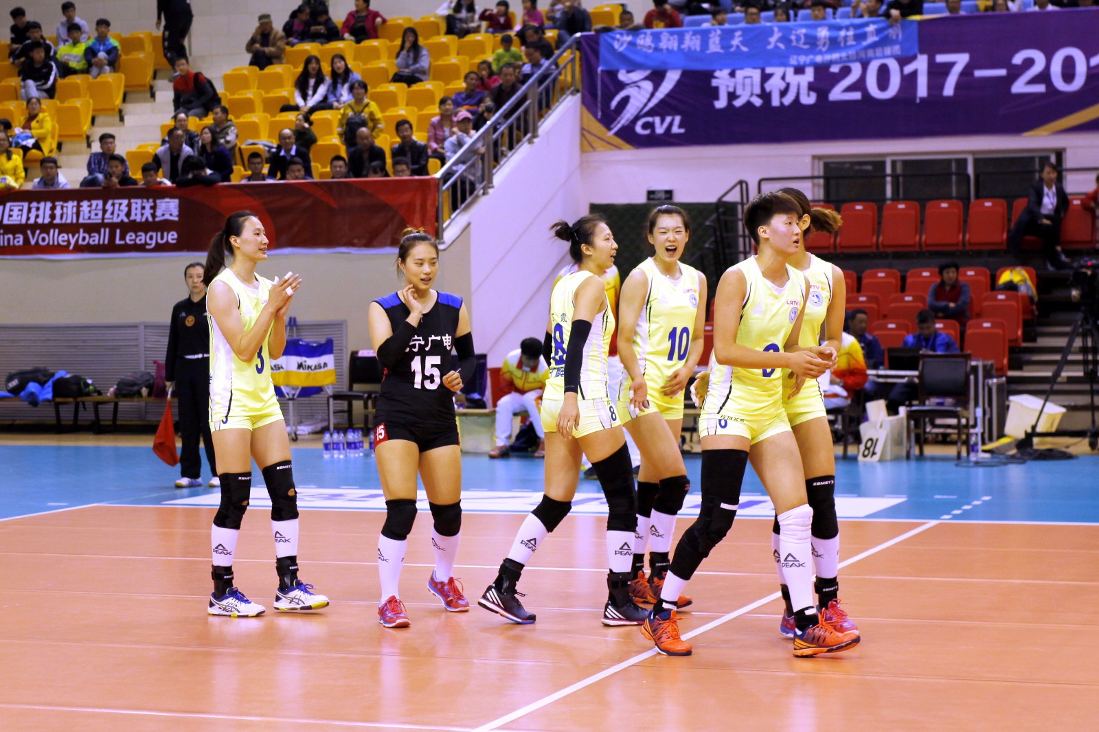 2017.11.4 排超联赛河南女排对辽宁女排比赛图集