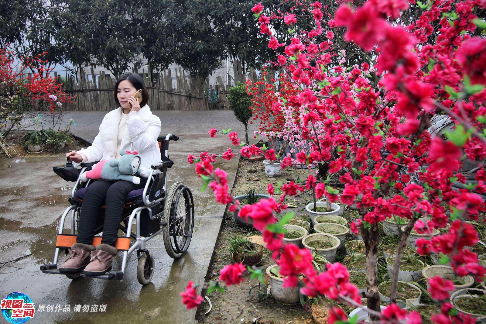 90后高位截瘫女坐轮椅创业 成"最美姑娘"