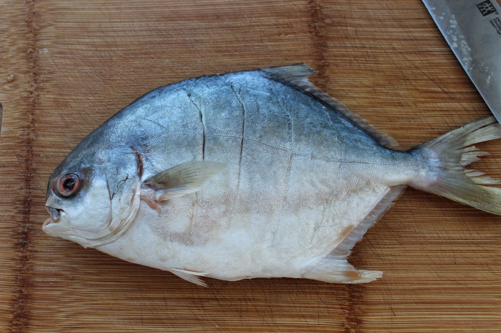 制作步骤:将鲳鱼去除内脏后洗净,在表面划几刀方便入味红烧鲳鱼食材