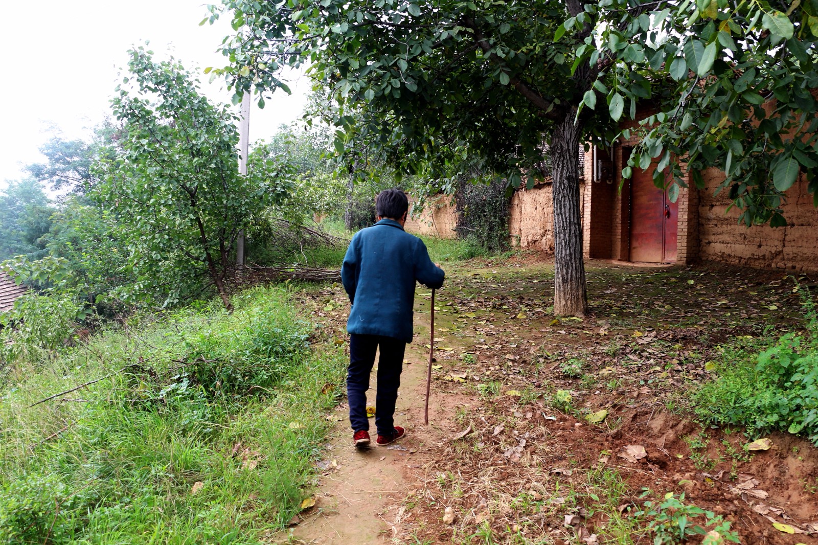 南荣珍老人家的身体越来越差,她患有严重的关节炎和高血压,走路都要拄