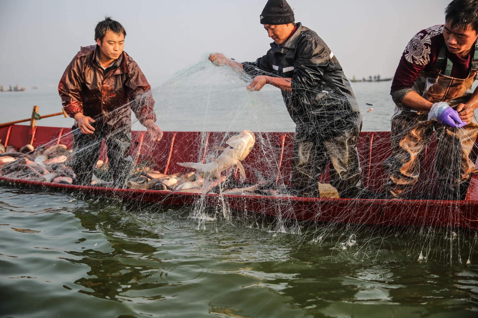 封湖一年后盛大开渔 上千渔民下湖捕鱼 渔船竞发气势恢宏