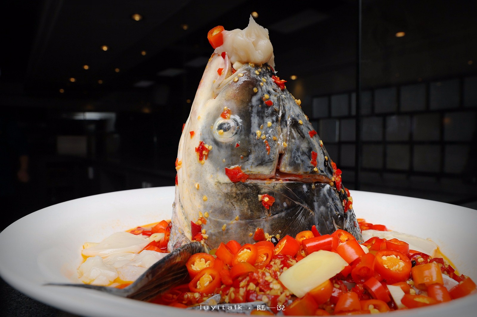 这是10来斤的大雄鱼头,看着霸气十足.