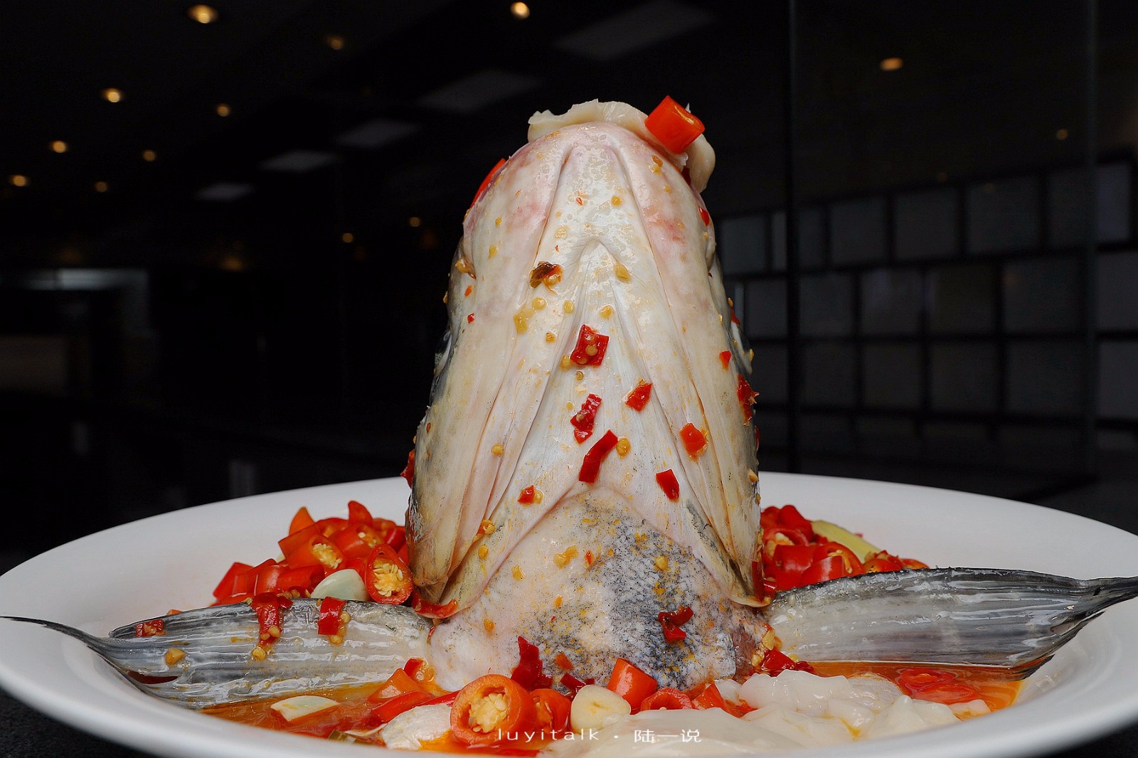 这是10来斤的大雄鱼头,看着霸气十足.